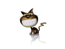 cat-by nicobou