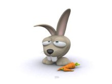 Rabbit-by nicobou