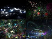 Flowerings Pack 16 by love1008