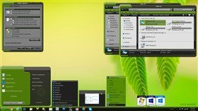Simple Green
