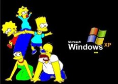 The Simpsons XP
