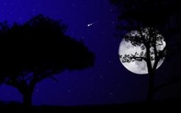 Shooting Star