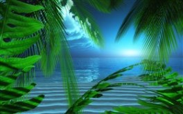 By the Seaside Night Ver