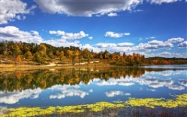 Fall Kolob Terrace