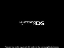 Nintendo DS