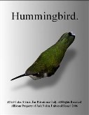 hummingbird