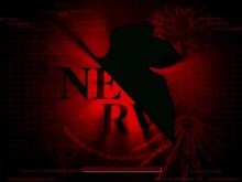 Nerv