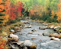 Autumn Colors