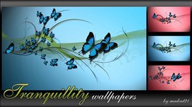 Tranquillity walls