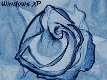 Bluezy Rose