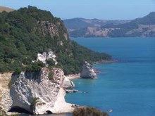 Cathedral Cove Coromandel NZ