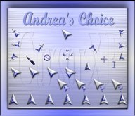 Andrea's Choice