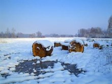 Snow Normandie