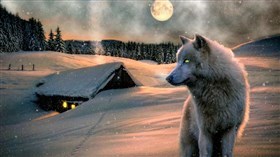 The_Winter_Wolf