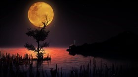 Moonlight Lake Little Shack