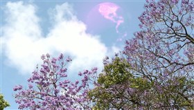 Spring_Planet