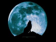 Night of the Wolf