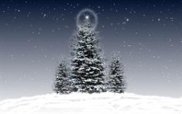 Christmas Trees 3 Logon