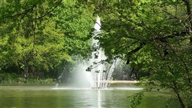 Park in Dresden