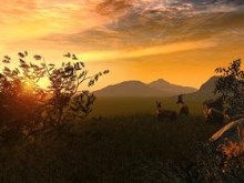 Serengeti Plains