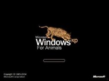 Xp For Animals