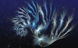 Starlit Spiral