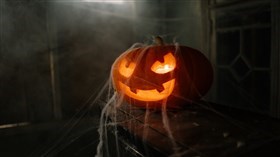Halloween Pumpkin with Spider Webs