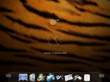 Tiger_XP