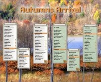 Autumn's Arrival RC Pack