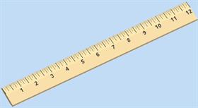 Ruler