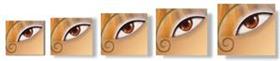 Photoshop v6 Zoomers Tripack