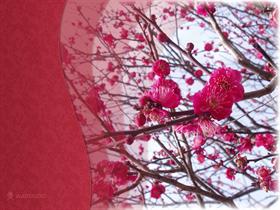 Spring In Japan II