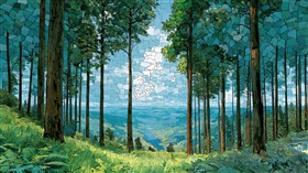 Murphy Forest 