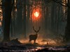 The Forest Keeper