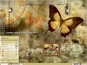 My Butterflies