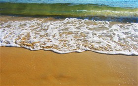 sea swells