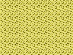 Jaguar Skin