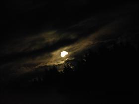 Moonlight Mystery