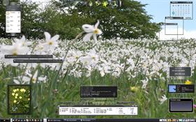 Longhorn Vista Spring