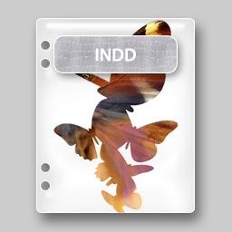 Adobe InDesign CS File