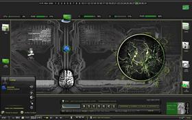 Neuronal
