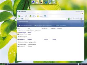 vista fever