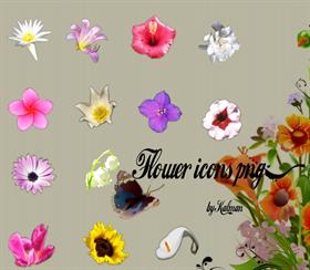 Flower 3