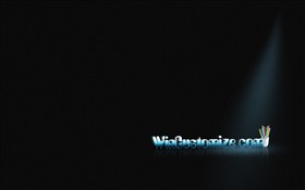 WinCustomize.com