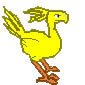 Chocobo