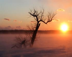 Cold Sunrise