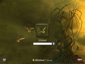 Fall_vista7