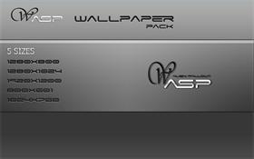 wasp wall pack
