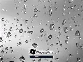 Vista Wet LCD Screen Black & White Edition!