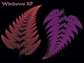 Fractal 41